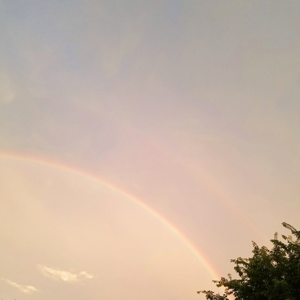 Meet your Posher, Claire!